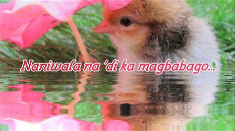 basang sisiw lyrics